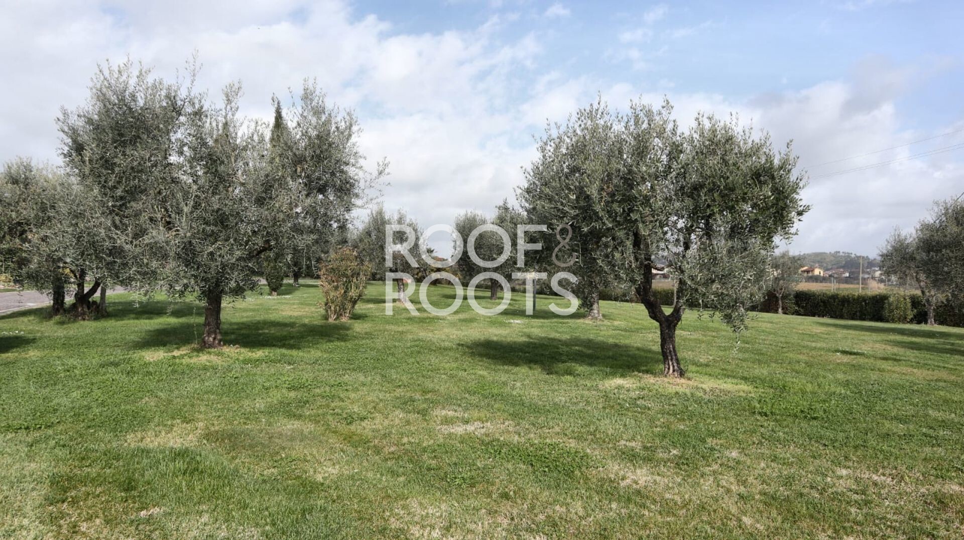 ref1005434